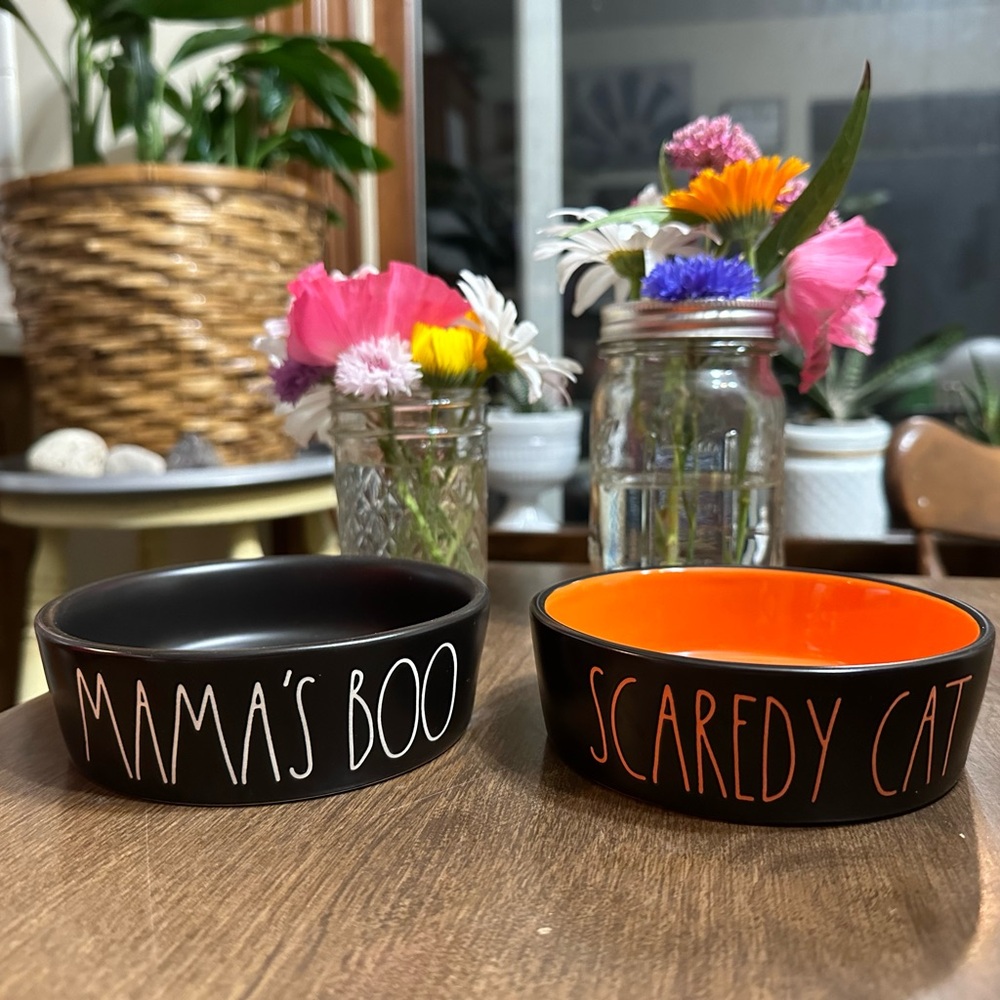 Rae Dunn Halloween Mama’s Boo and Scaredy Cat pet food water bowls, small.